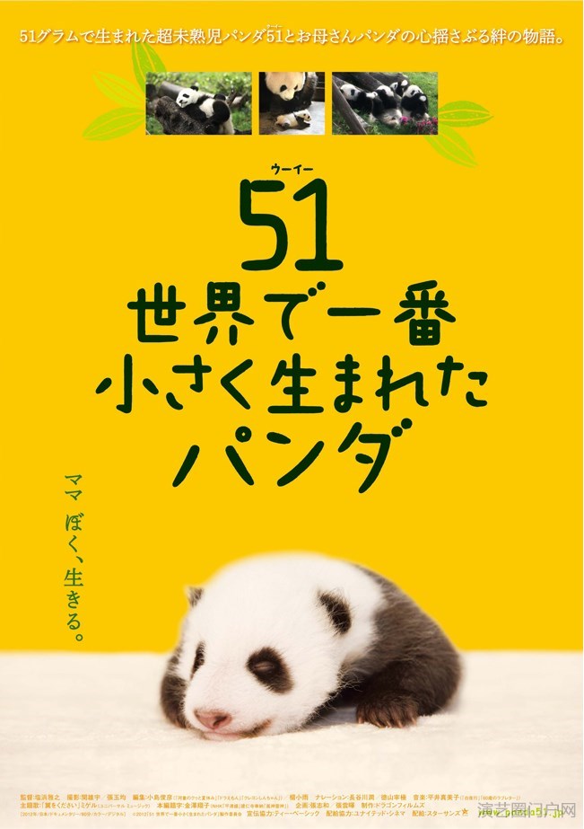 电影大熊猫51的故事演员表
